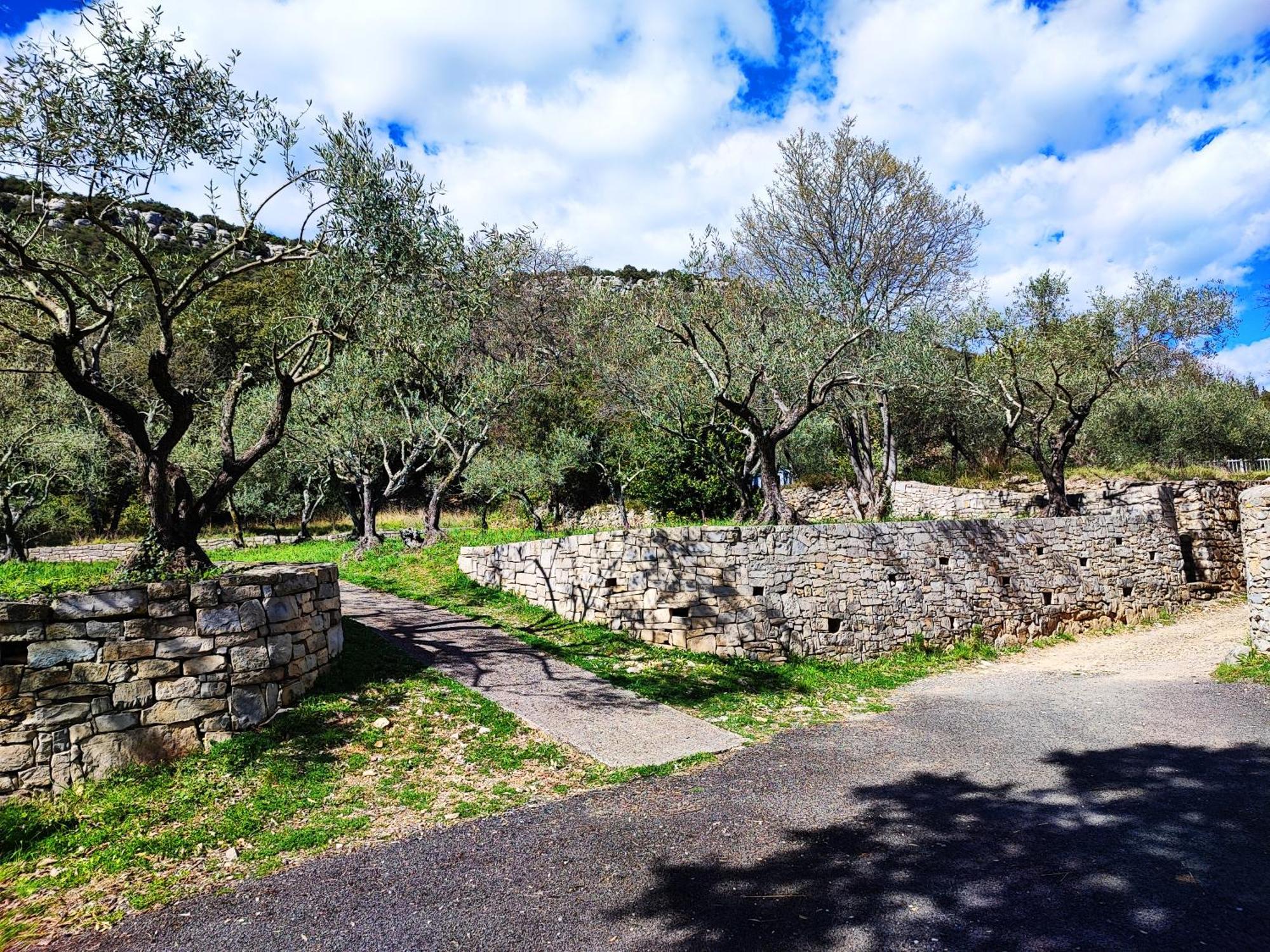 La Bergerie De Corconne Villa Exteriör bild