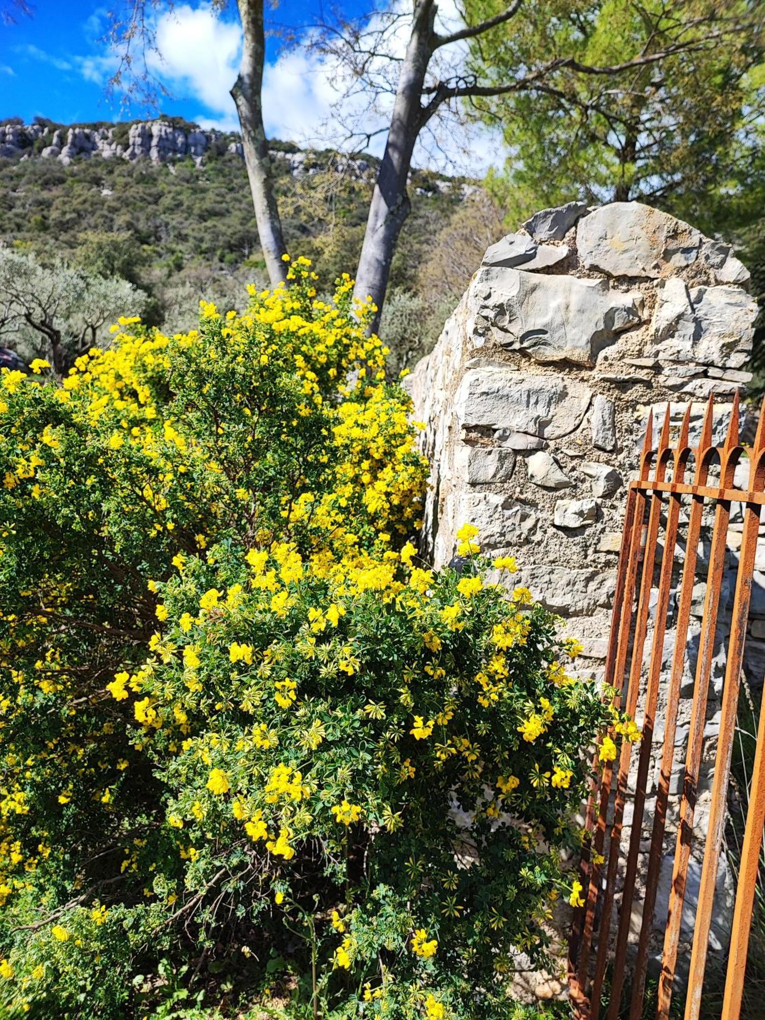 La Bergerie De Corconne Villa Exteriör bild